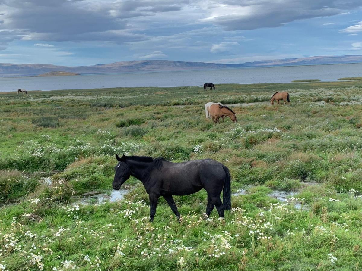 Apart Azul Calafate เอลกาลาฟาเต ภายนอก รูปภาพ